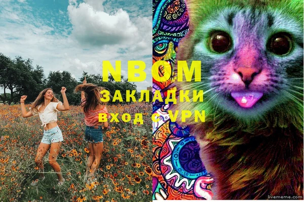 спиды Аркадак