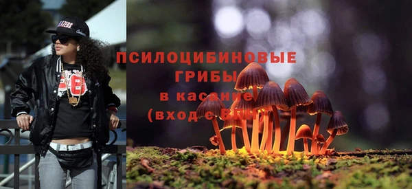спиды Аркадак
