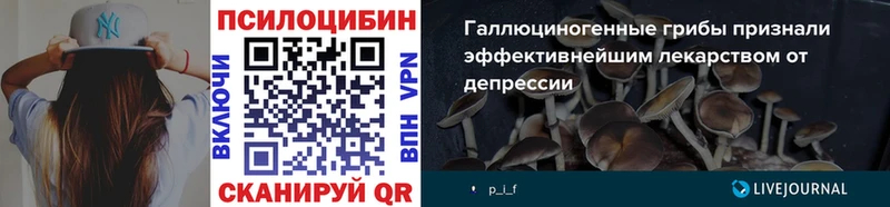 Псилоцибиновые грибы ЛСД  сколько стоит  Сельцо 