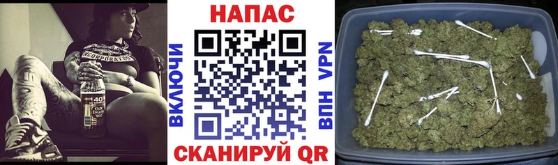 Бошки Шишки марихуана  купить наркотик  Сельцо 